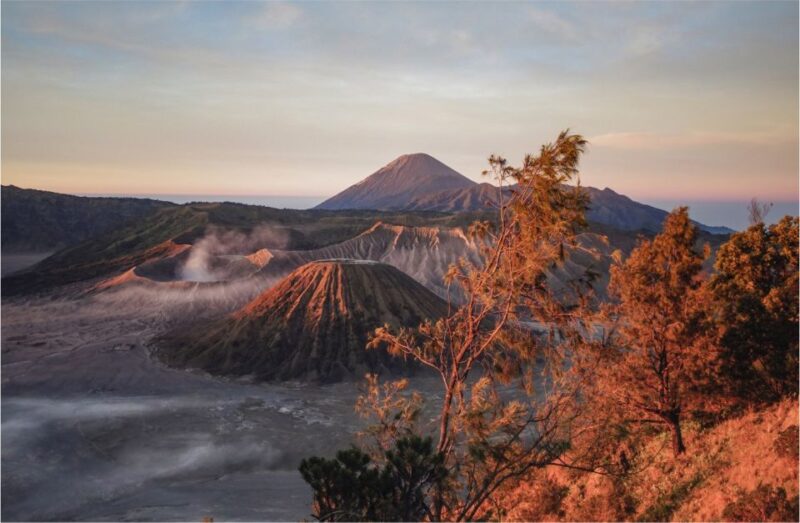 From Malang: Mount Bromo Sunrise Day Trip With Breakfast - Customer Feedback