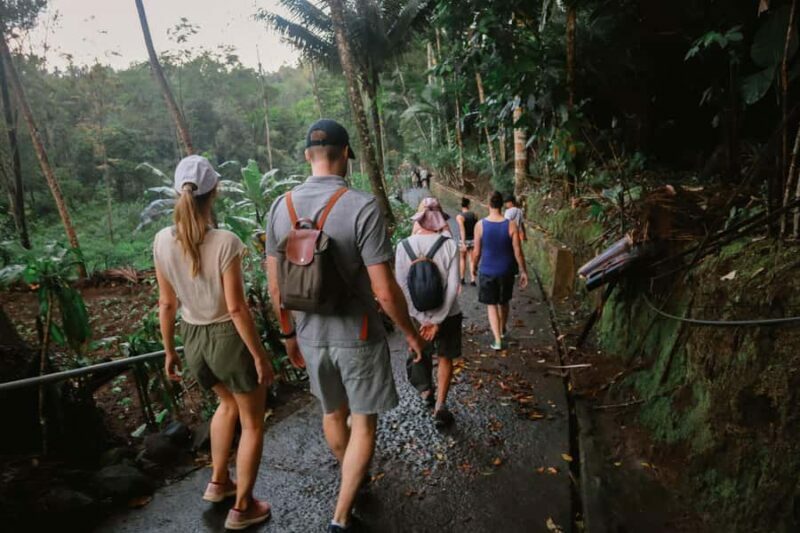 From Malang or Surabaya: Tumpak Sewu Waterfall Group Tour - What Travelers Say: Authentic Feedback