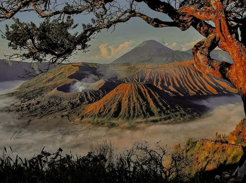 From Malang: Shared Mount Bromo & Ijen Tours Start - 2D1N - The Itinerary in Detail: What You Can Expect