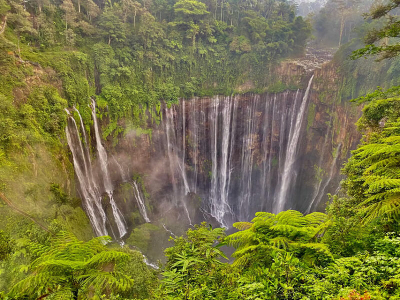 From Malang/Surabaya: Tumpak Sewu Waterfall - Customer Reviews