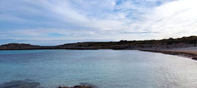 From Mallorca: Guided Day Trip to Menorca - Inclusions in the Tour