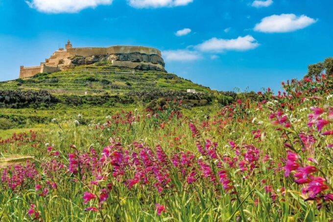 From Malta: Gozo Jeep Tour With Lunch and Transfers - Return Transfer by Speedboat