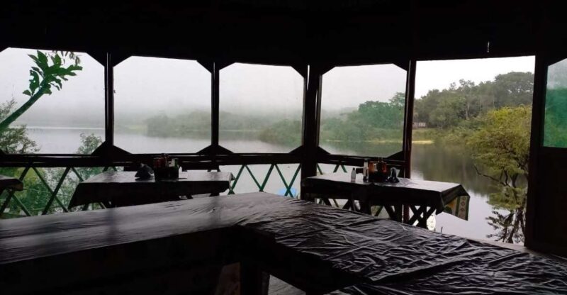 From Manaus: 2-Day Amazon Jungle and Ipanema Lake Excursion - Key Points