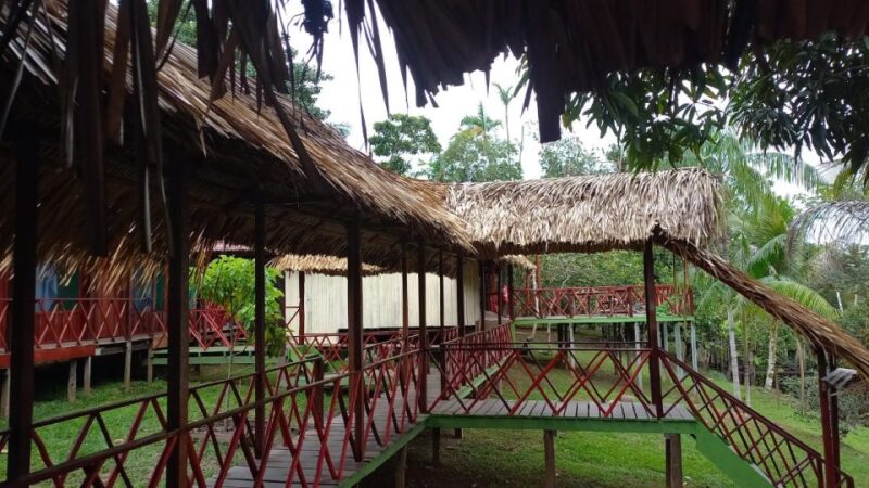 From Manaus: 2-Day Amazon Jungle and Ipanema Lake Excursion - Pricing and Booking