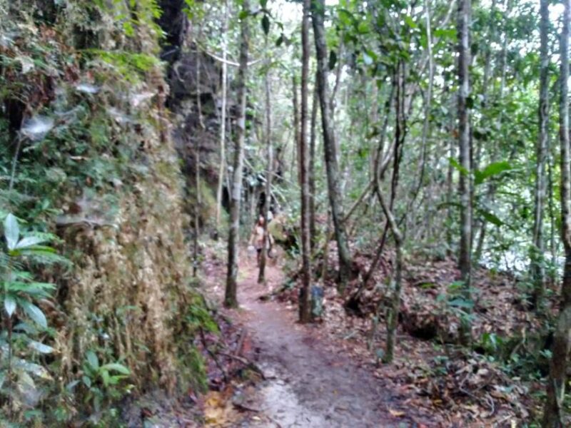 From Manaus: 2-Day Amazon Jungle and Ipanema Lake Excursion - Highlights of the Excursion