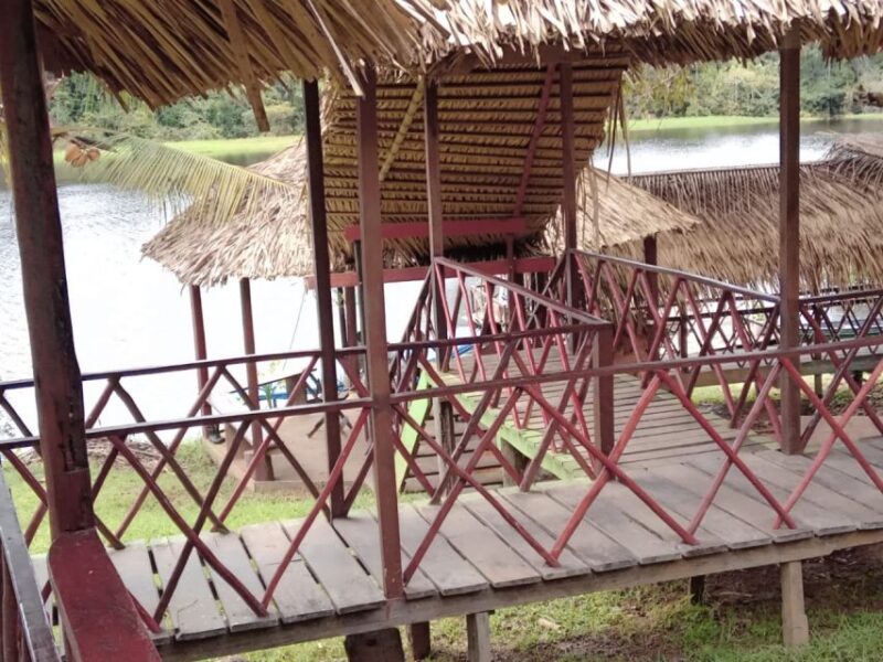 From Manaus: 2-Day Amazon Jungle and Ipanema Lake Excursion - Nighttime Alligator Watching