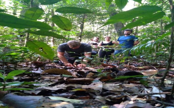 From Manaus: 2-Day Amazon Jungle and Ipanema Lake Excursion - Frequently Asked Questions