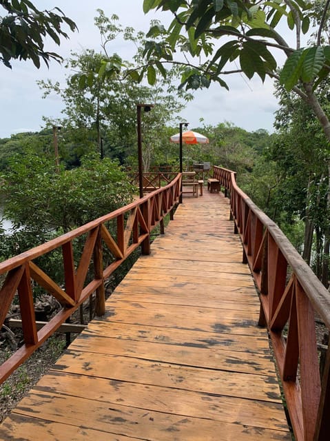 From Manaus: 3, 4 or 5-Day Tour at Amazon Mamori Lodge - Accommodation at Lodge