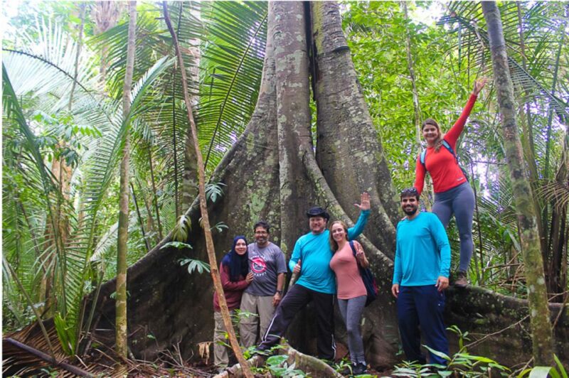 From Manaus: 3 , 4 or 5-Day Tour at Tapiri Rio Negro Lodge - Accommodation