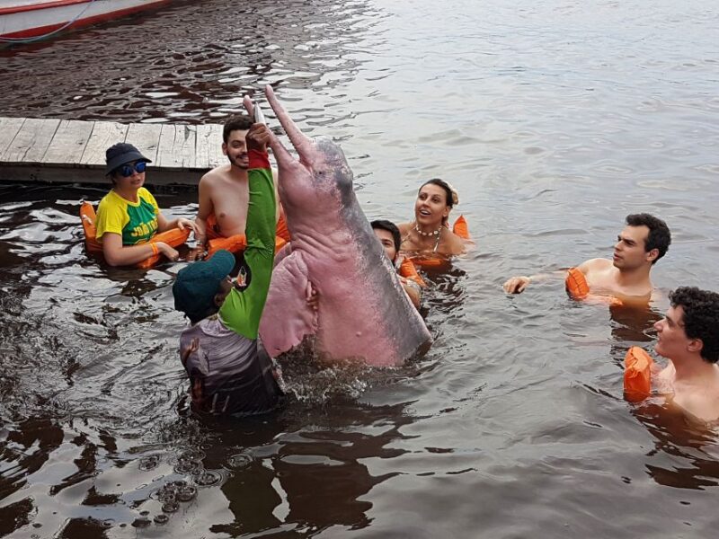 From Manaus: 3 or 4-Day Rio Negro & Anavilhanas River Cruise - Accommodation and Boat Details