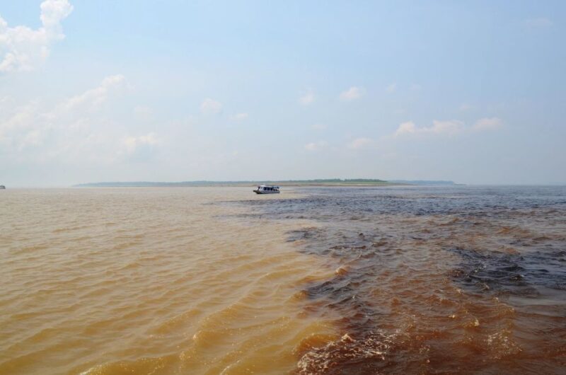 From Manaus: 3 or 4-Day Rio Negro & Anavilhanas River Cruise - Exploring Janauri Ecological Park