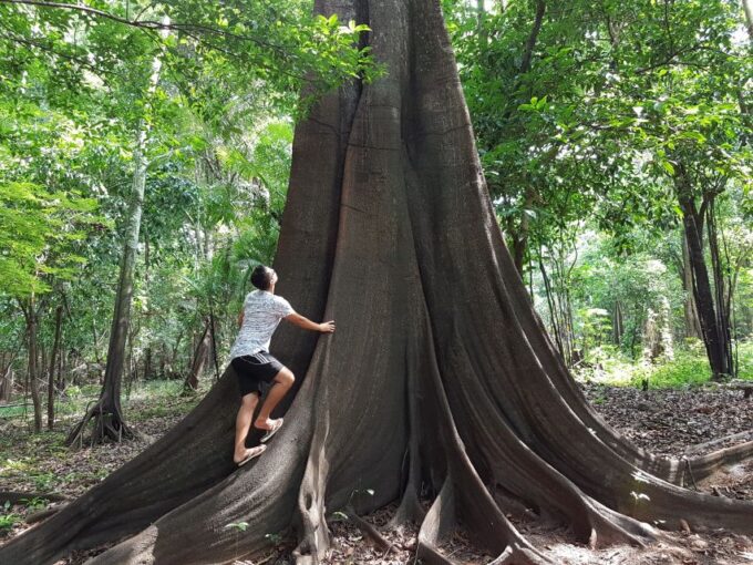 From Manaus: 3 or 4-Day Rio Negro & Anavilhanas River Cruise - Frequently Asked Questions