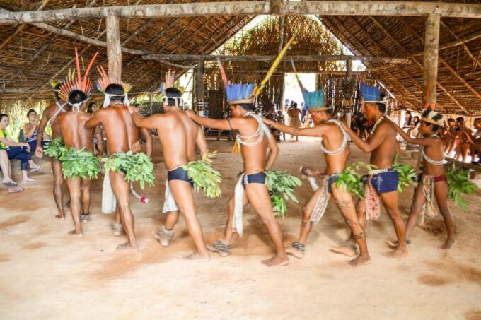 From Manaus Cruise Terminal: Amazon Rainforest Highlights - Inclusions and Restrictions