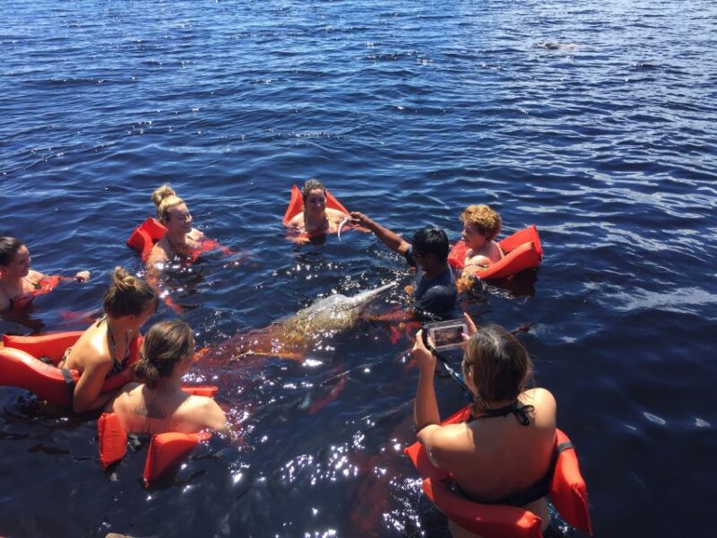From Manaus: Negro River Half-Day Trip - Tour Highlights