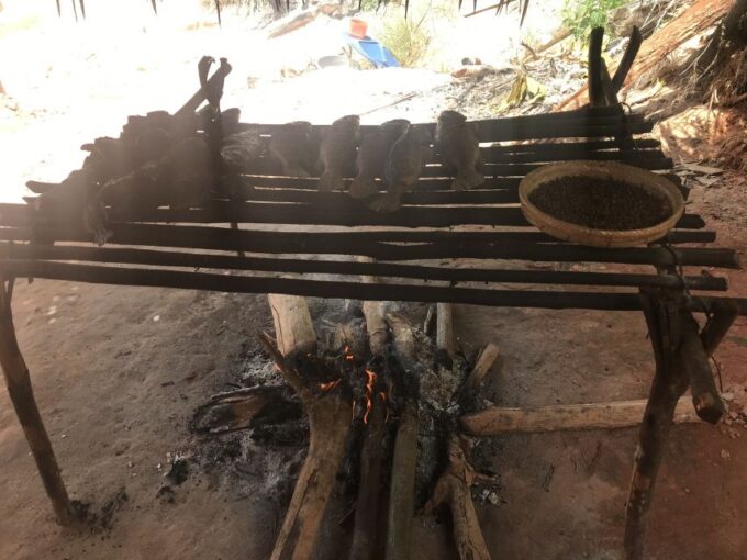 From Manaus: Negro River Half-Day Trip - Included Amenities