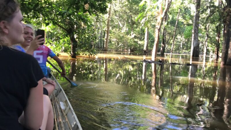 From Manaus: One-Day Amazon Jungle Experience - Key Points