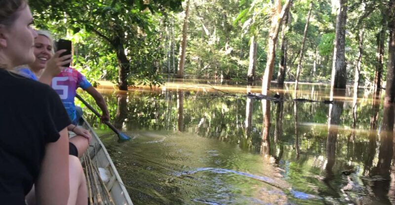 From Manaus: One-Day Amazon Jungle Experience - Alligator Night Spotting