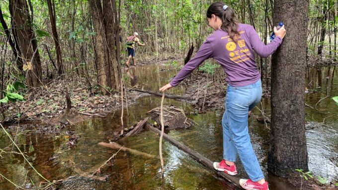 From Manaus: One-Day Amazon Jungle Experience - Seasonal Activity Variations