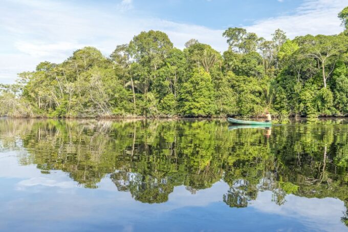 From Manaus: One-Day Amazon Jungle Experience - Frequently Asked Questions