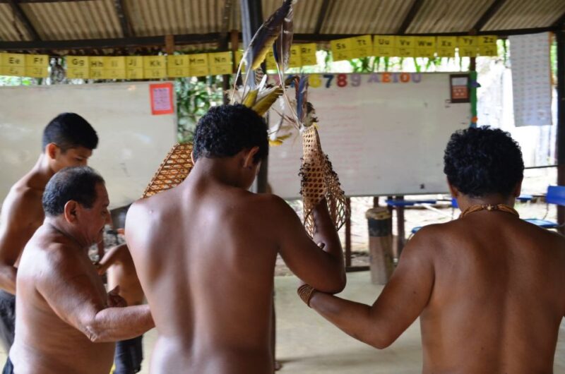 From Manaus: Tucandeira Ants Tribe Ritual Full Day Trip - Transportation and Logistics