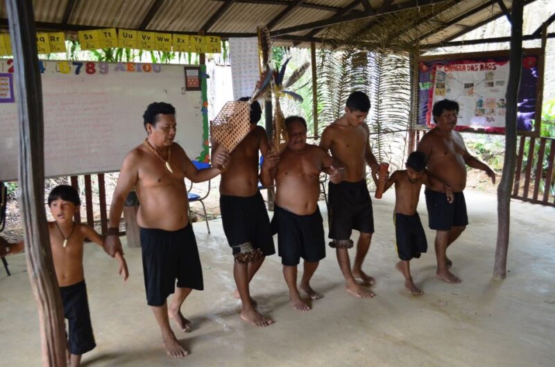 From Manaus: Tucandeira Ants Tribe Ritual Full Day Trip - Traditional Indigenous Practices