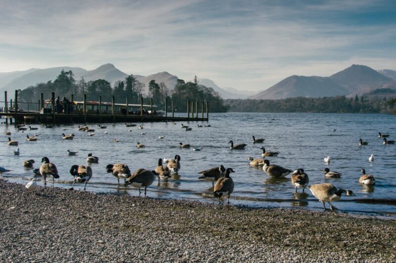 From Manchester: Lake District Including Lake Cruise & Train - Depart From Manchester
