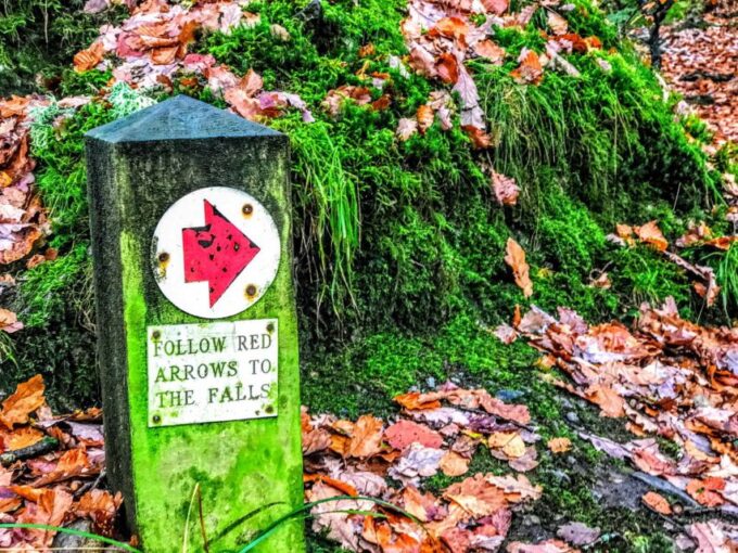 From Manchester: Lake District Sightseeing Day Trip - Blea Tarn and Ambleside