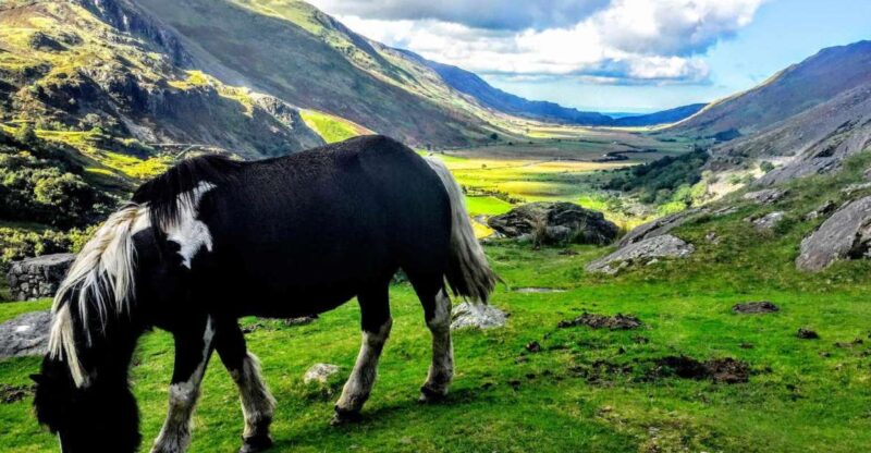 From Manchester: North Wales Sightseeing Adventure Day Trip - Meeting Point and Transportation