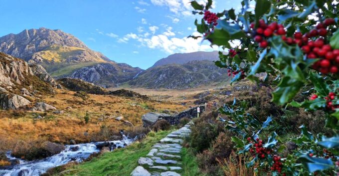 From Manchester: North Wales & Snowdonia Day Trip by Minibus - Booking and Cancellation Details