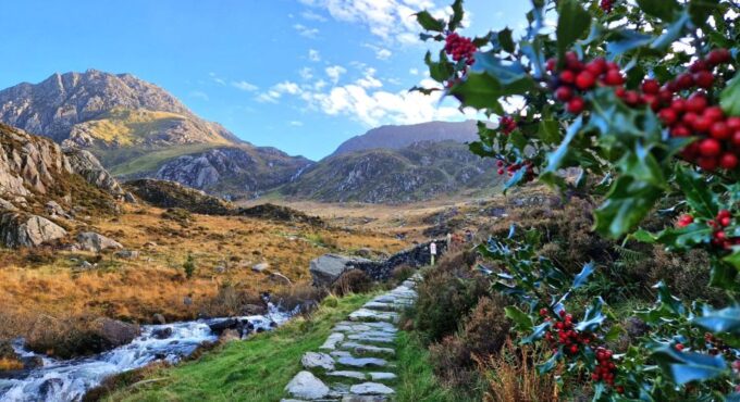 From Manchester: North Wales & Snowdonia Day Trip by Minibus - Recap