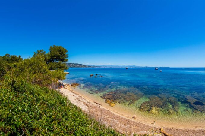 From Mandelieu: St. Marguerite Island Roundtrip Ferry Ride - Explore Fragrant Forests