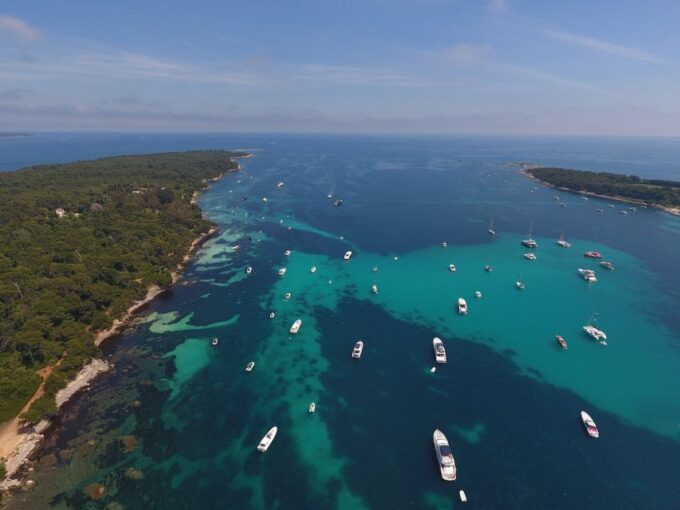 From Mandelieu: St. Marguerite Island Roundtrip Ferry Ride - Spot Migratory Birds