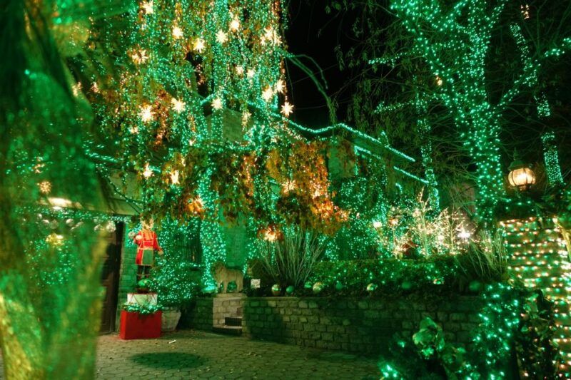 From Manhattan: 4-Hour Christmas Lights Luxury Bus Tour - Viewing of Iconic Landmarks