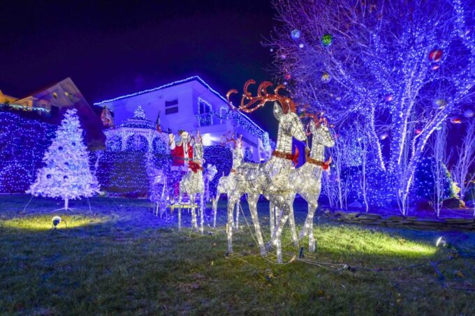 From Manhattan: Dyker Heights Holiday Bus Tour - Customer Feedback