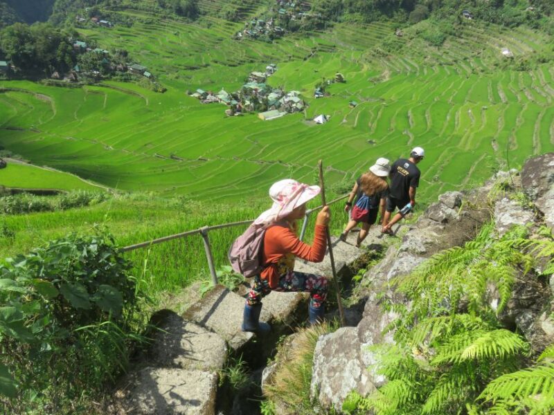 From Manila: 4-Day Sagada and Banaue Rice Terraces Tour - Key Points