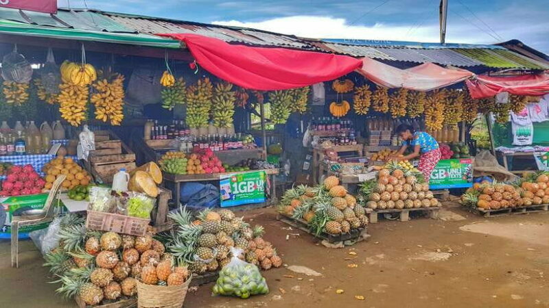From Manila: Tagaytay Countryside Wonders: A Half-Day Tour - An In-Depth Look at the Tagaytay Countryside Wonders Tour