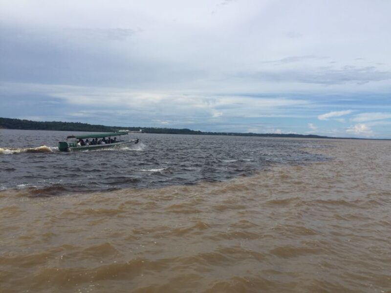 From Manuas: Full-Day River Tour - Pink River Dolphins