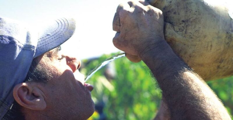 From Marbella: Axarquia Wine Tour With Wine Pairing Lunch - Winery Tours and Tastings