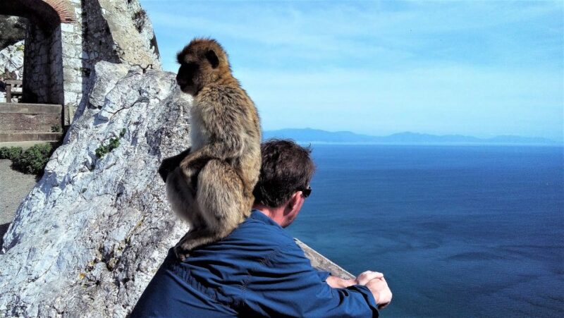 From Marbella: Guided Private Trip to Gibraltar and Estepona - Gibraltar Exploration Highlights
