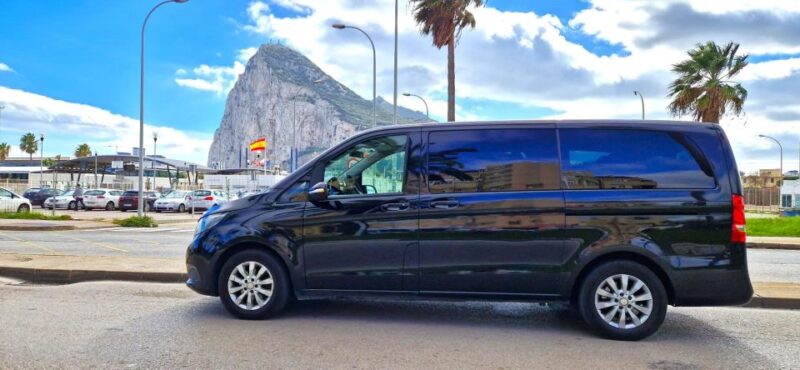 From Marbella: Guided Private Trip to Gibraltar and Estepona - Interacting With Local Monkeys