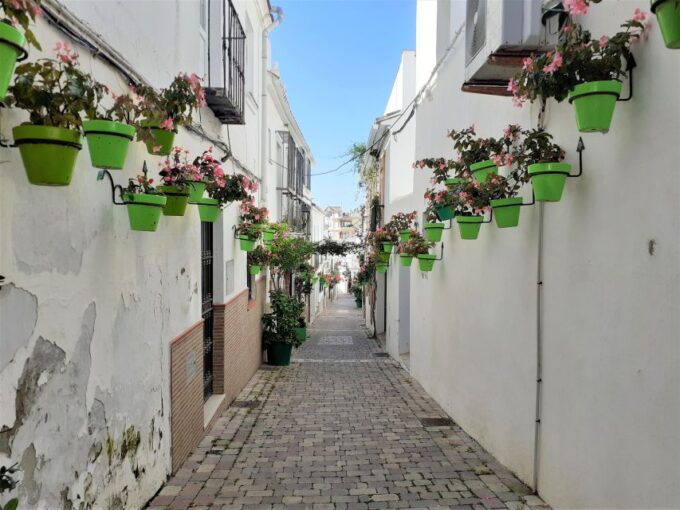 From Marbella: Guided Private Trip to Gibraltar and Estepona - Passport and Visa Requirements