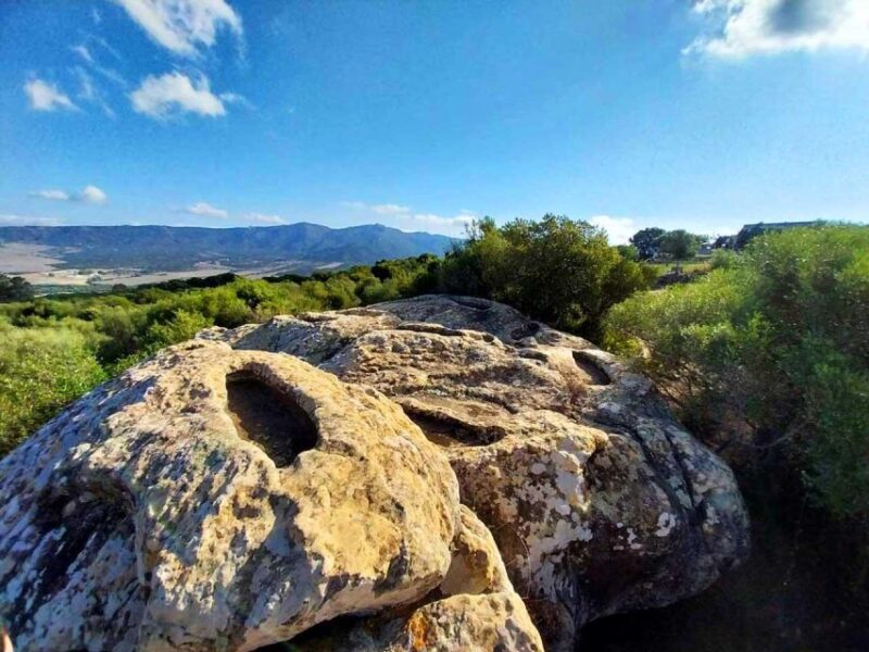 From Marbella: Tarifa & Bolonia Full-Day Food & History Tour - Key Points