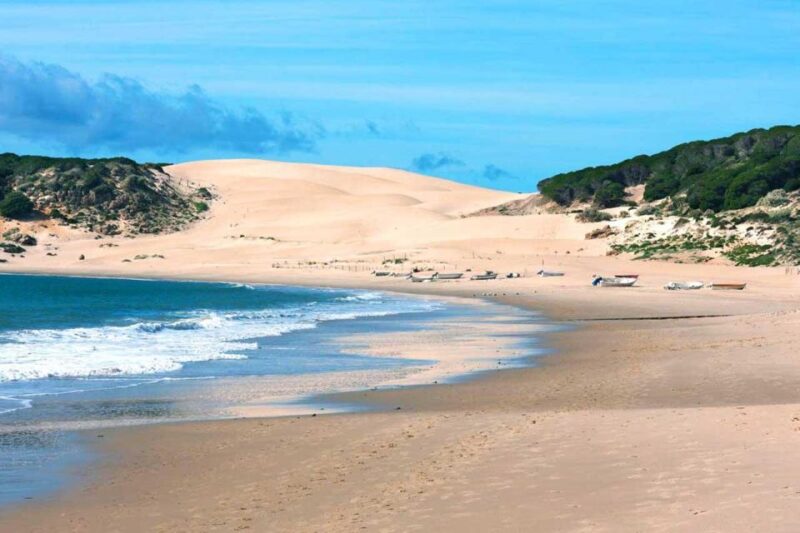 From Marbella: Tarifa & Bolonia Full-Day Food & History Tour - Tarifa Castle Exploration
