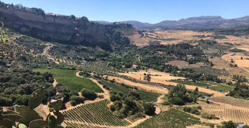From Marbella: The Classic Ronda Wine Experience Day Tour - Key Points