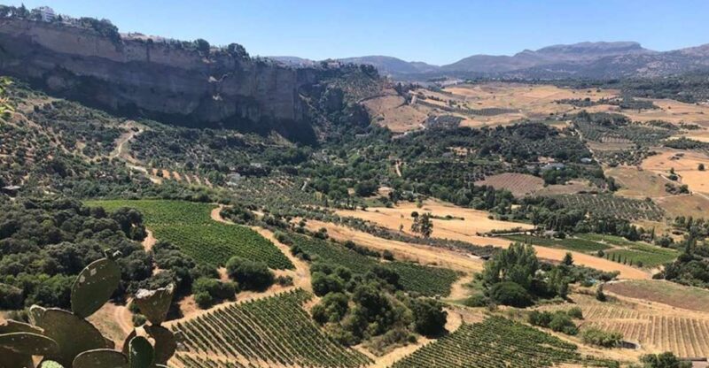From Marbella: The Classic Ronda Wine Experience Day Tour - Frequently Asked Questions