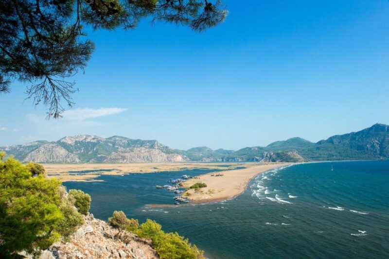 From Marmaris: Dalyan Cruise, Turtle Beach & Mud Baths - Customer Experience