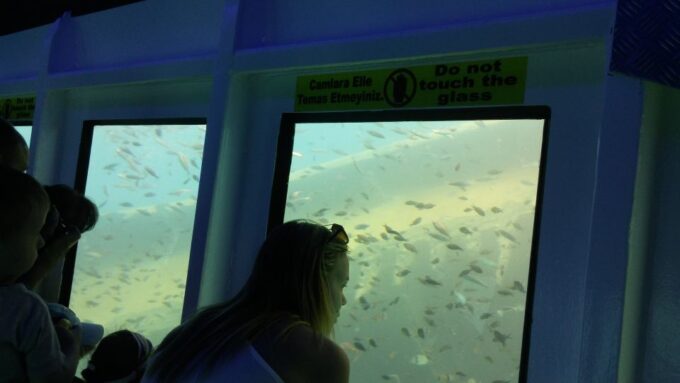 From Marmaris: Day Trip by Glass Bottom Semi Submarine - Booking and Cancellation Policy