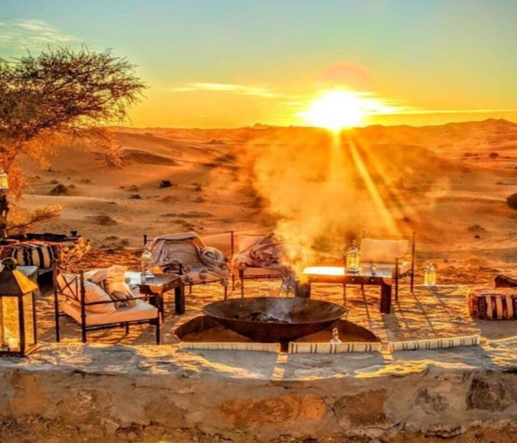 From Marrakch Agafay Desert Night Show With Dinner Camel Rid - Experience Highlights