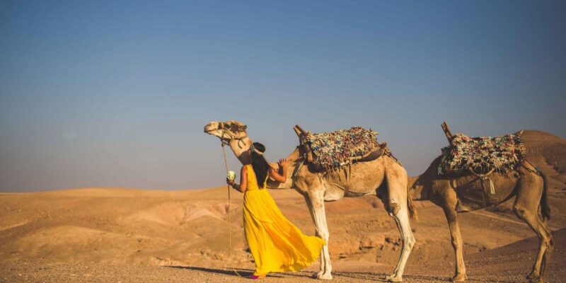 From Marrakech: 1-Hour Sunset Camel Ride in Agafay Desert - Key Points