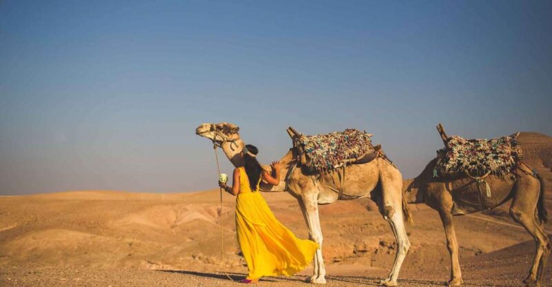 From Marrakech: 1-Hour Sunset Camel Ride in Agafay Desert - Pricing and Reservations